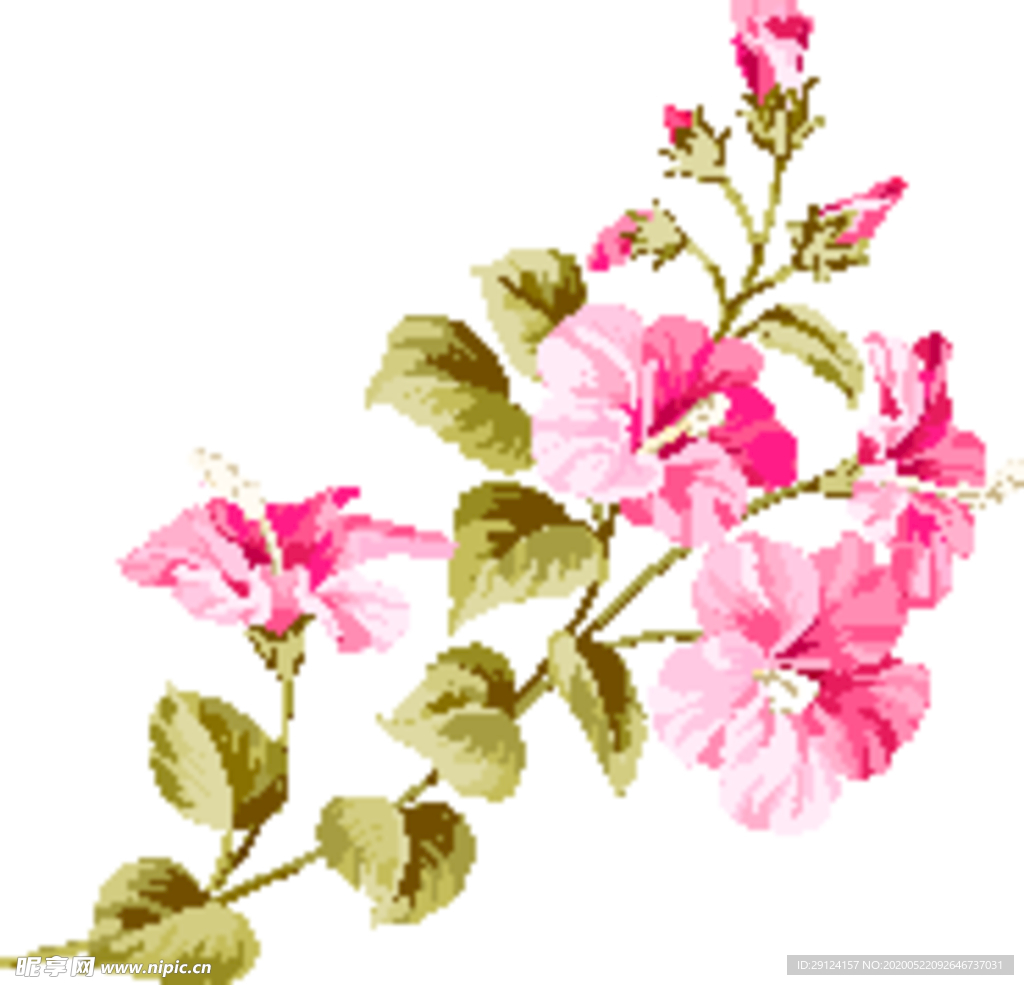 花卉