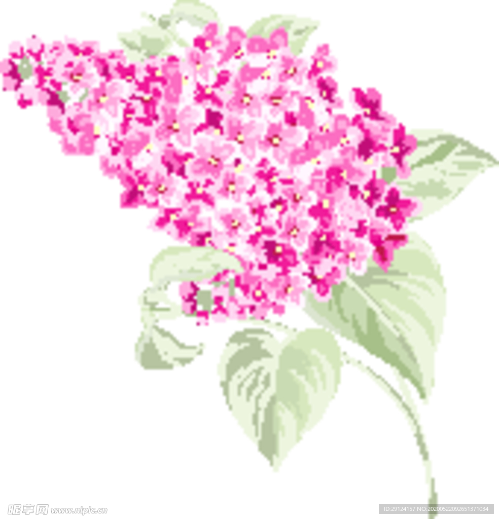花卉
