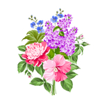 花卉