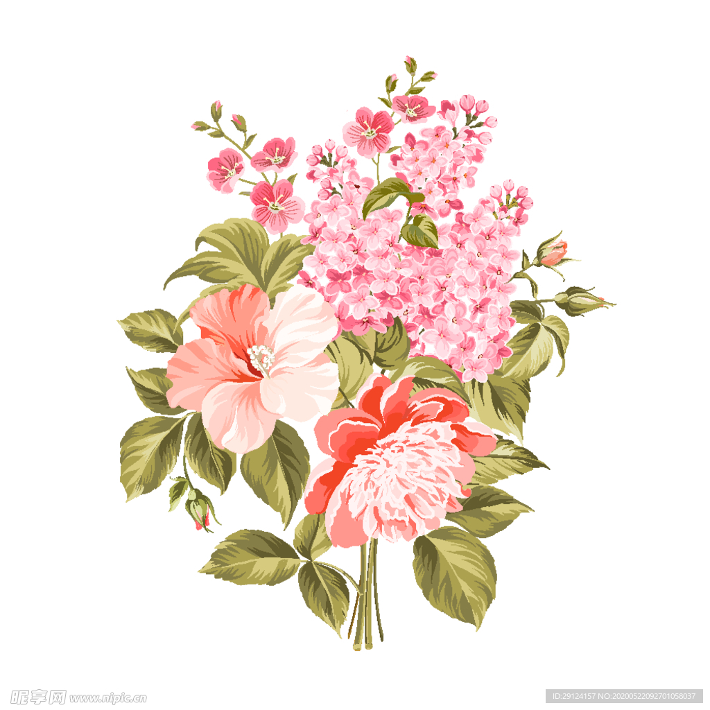 花卉花语