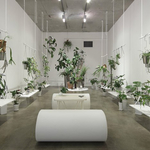 花店