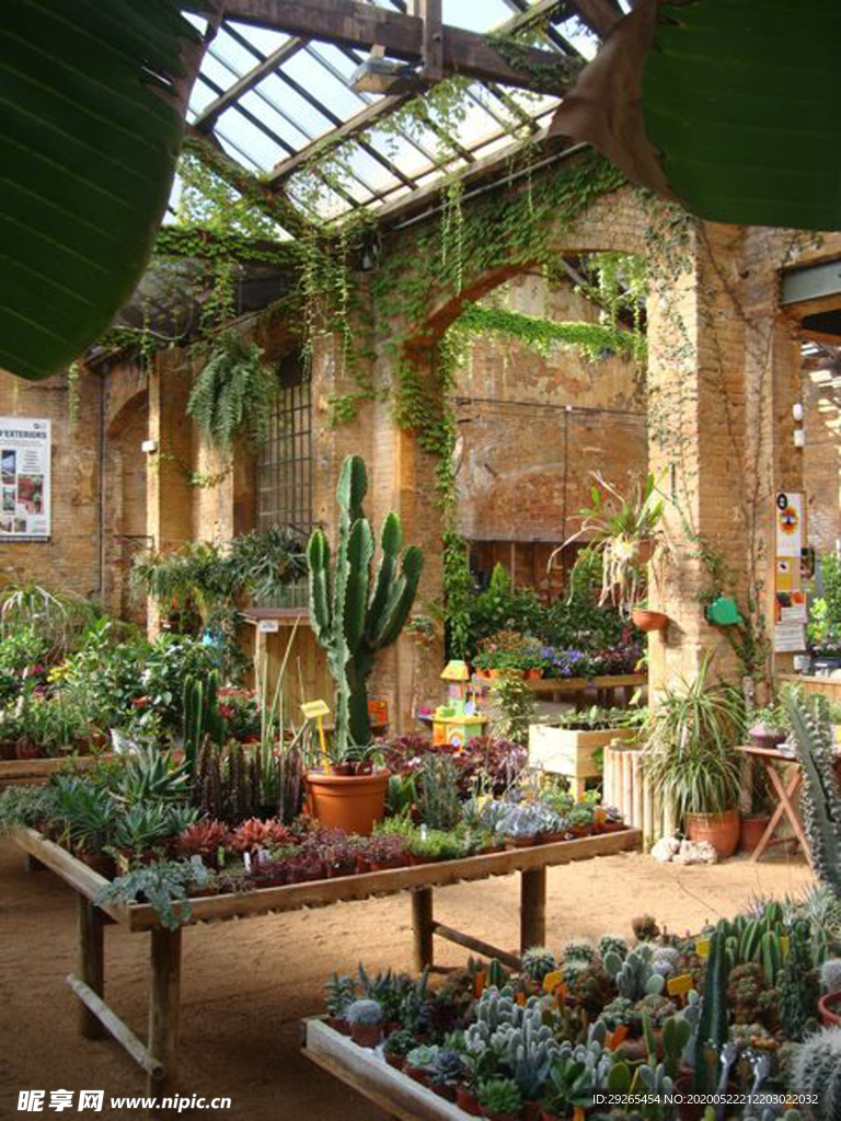花店