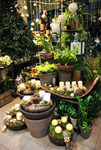 花店
