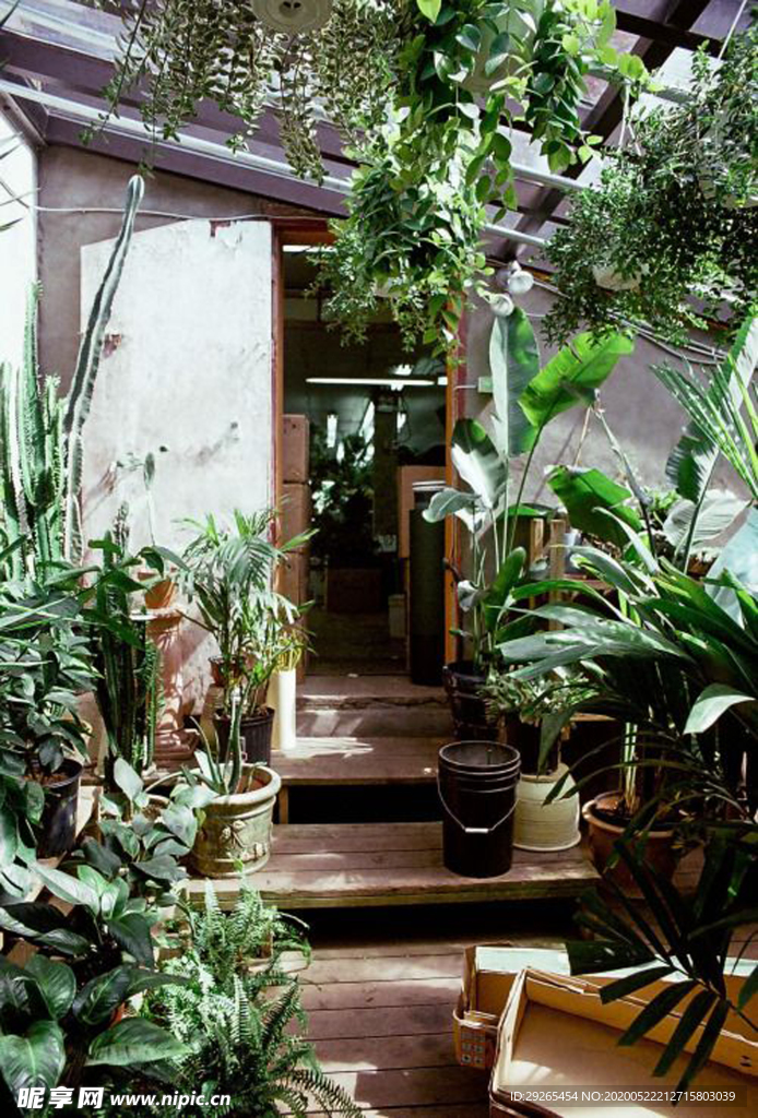 花店