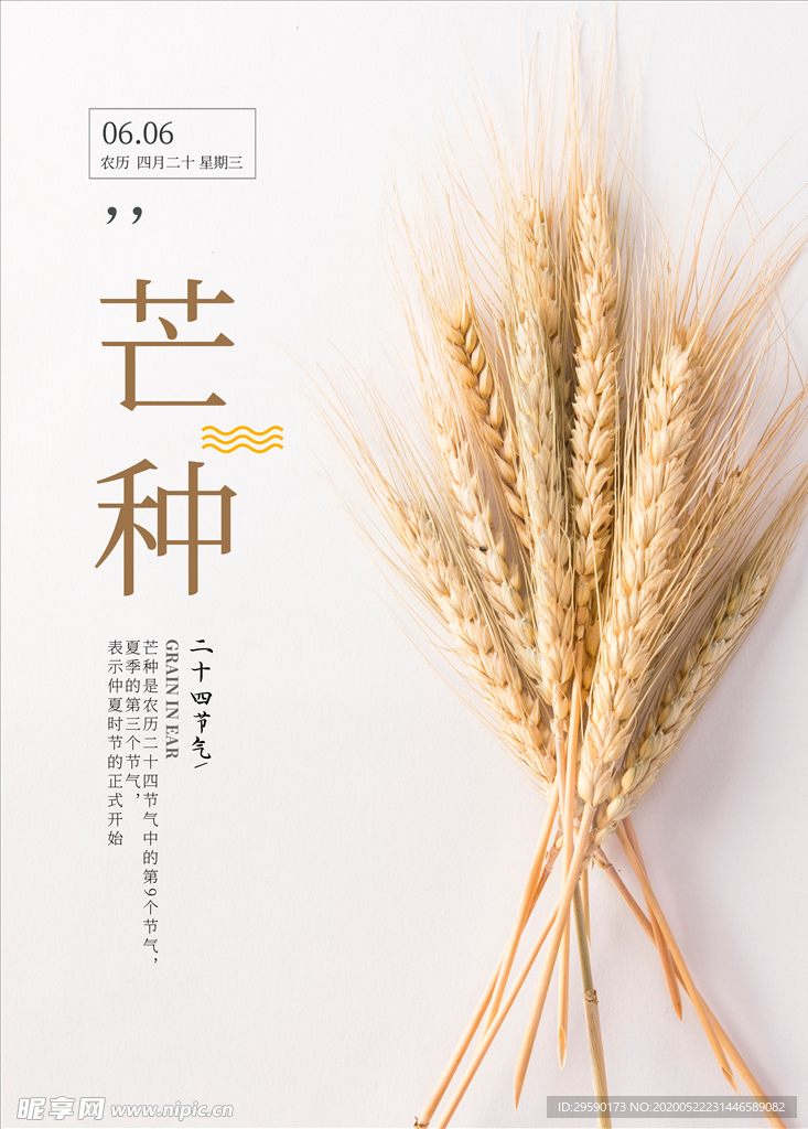 芒种