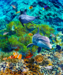 海底世界