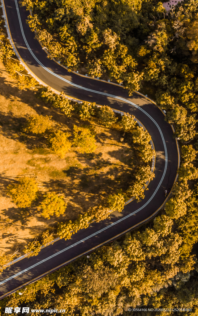 秋季公路森林俯视背景素材