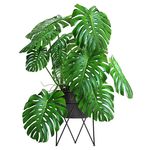 盆栽植物