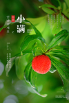 小满图片