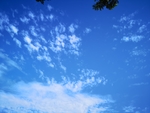 蓝天