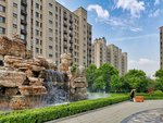 悦城小景