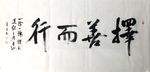 择善而行   杨克东书法 鸿鹄
