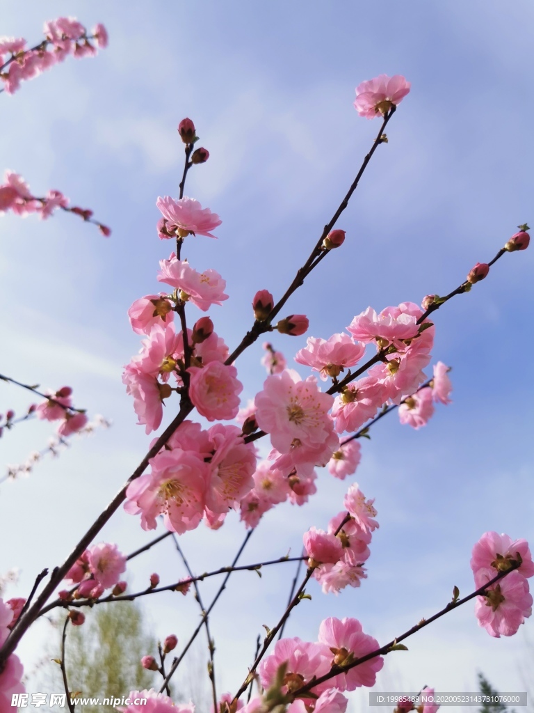 春暖花开