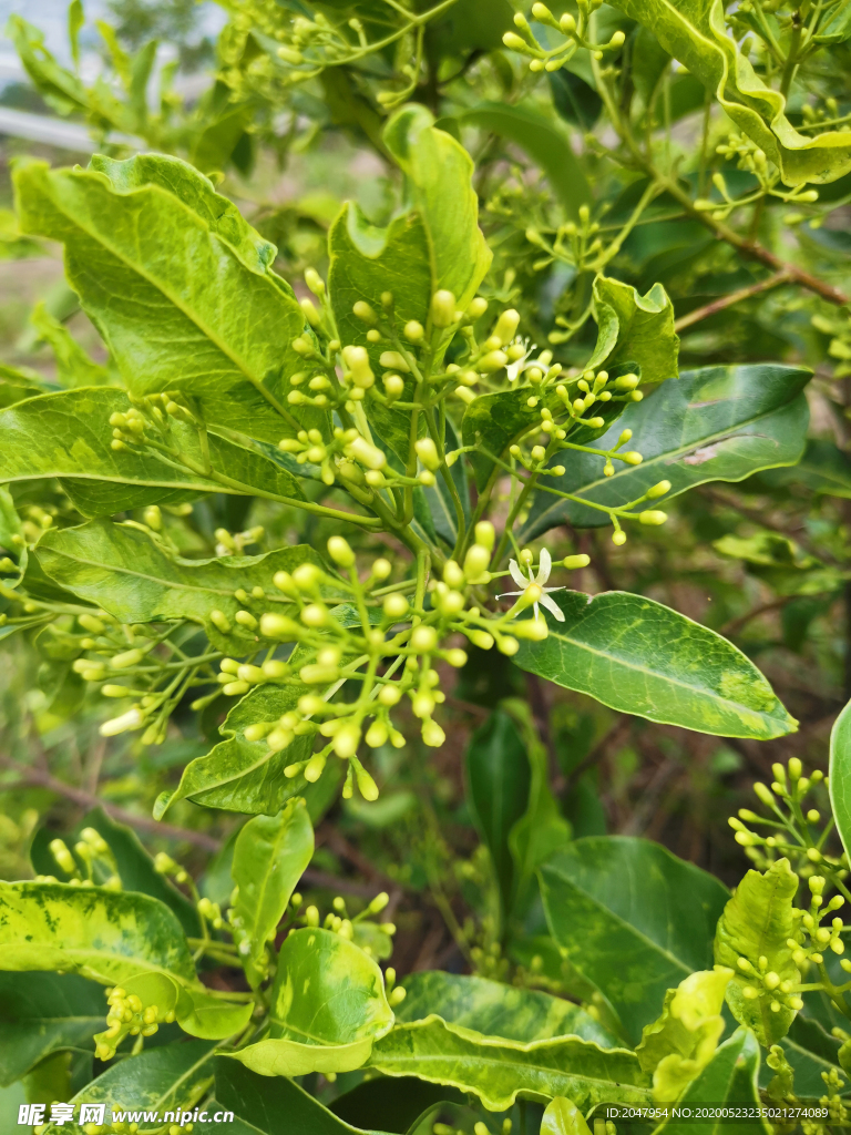 春暖花开