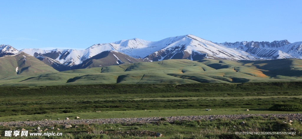 雪山草地