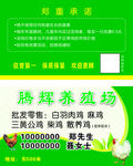 养鸡场名片