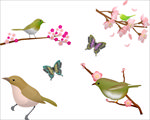 花与鸟