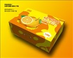 橘子