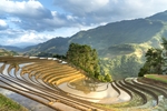 山区梯田景观