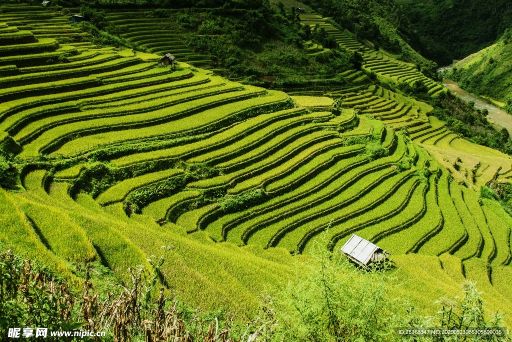 山区梯田景观