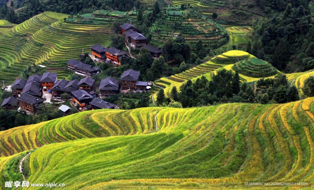 山区梯田景观
