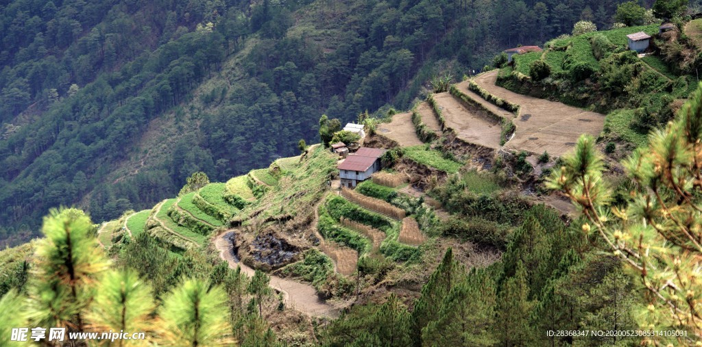 山区梯田景观