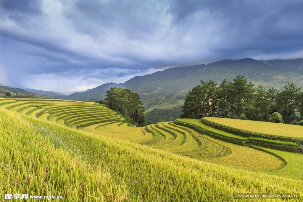 山区梯田景观