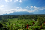 山区梯田景观