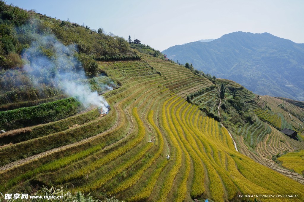 山区梯田景观