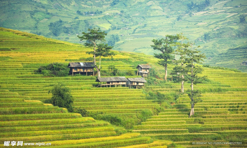 山区梯田景观