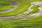 山区梯田景观