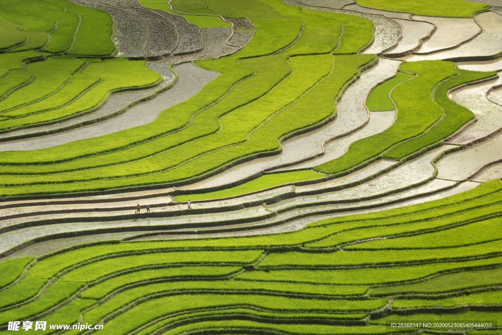 山区梯田景观