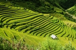 山区梯田景观