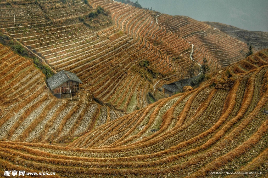 山区梯田景观