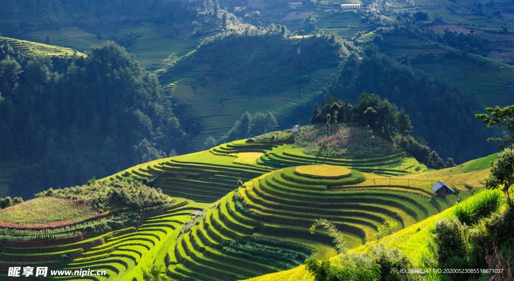 山区梯田景观