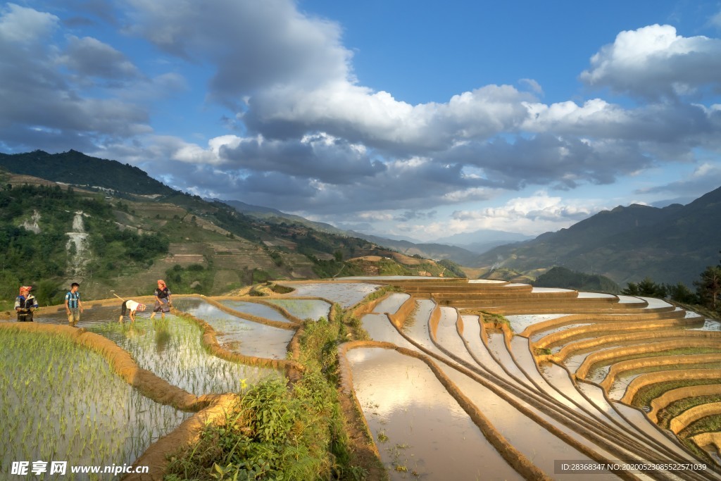 山区梯田景观