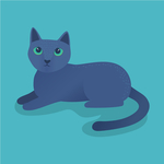 猫