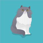 猫