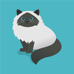 猫