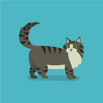 猫