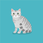 猫