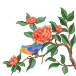 手绘茶花