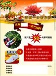 果园自摘旅游单页