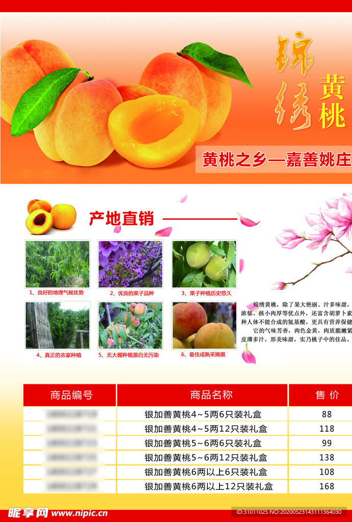 黄桃宣传单页