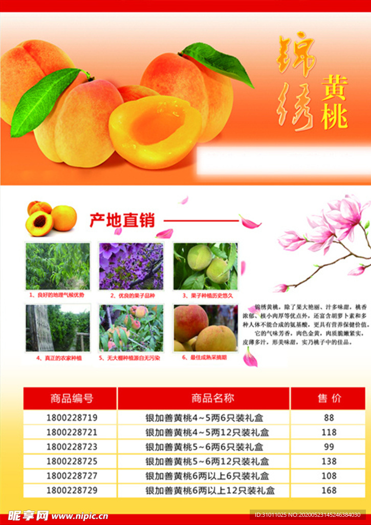 黄桃DM单页