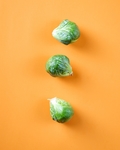 蔬菜