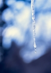 水