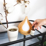 茶