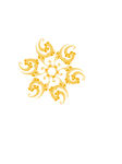 金色花纹