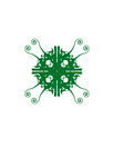 花纹